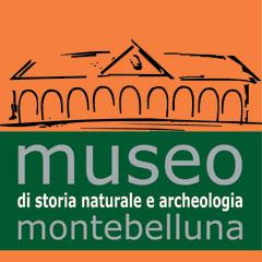 Museo di Storia Naturale ed Archeologia di Montebelluna